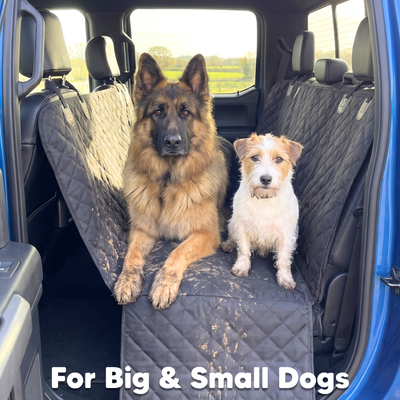 Pawlena™ Dog Car Seat Cover